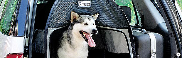 Dog Bag Large in rear of car